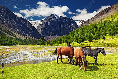 Россия, Алтай. Горный пейзаж с лошадьми