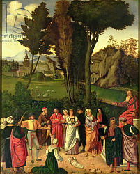 Постер Джорджоне The Judgement of Solomon, 1505 Постер Джорджоне The Judgement of Solomon, 1505