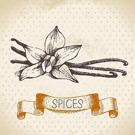 Иллюстрация с ванилью