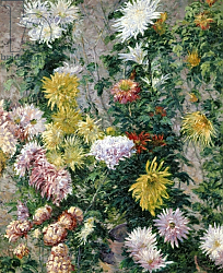 Постер Кайботт Гюстав (Gustave Caillebotte) White and Yellow Chrysanthemums, 1893 Постер Кайботт Гюстав (Gustave Caillebotte) White and Yellow Chrysanthemums, 1893