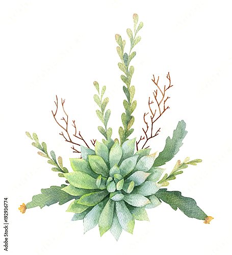 Постер Букет кактусов и суккулентных растений