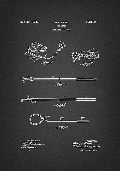 Патент на поводок для собак, 1993г