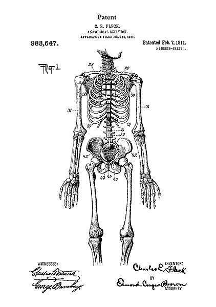 Патент на анатомический скелет, 1911г