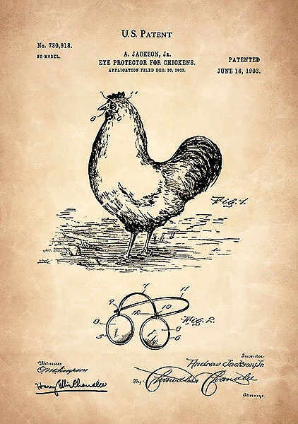 Патент на очки для курицы,  1903г