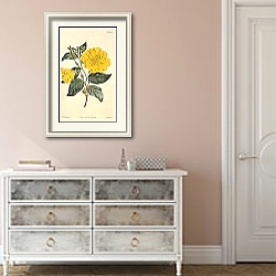 «Cenothera Glauca. Glaucous-Leaved Evening-Primrose» в интерьере коридора в стиле прованс в пастельных тонах «Cenothera Glauca. Glaucous-Leaved Evening-Primrose» в интерьере коридора в стиле прованс в пастельных тонах