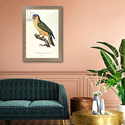 «Blue-Capped Parrot by Jacques Barraband» в интерьере классической гостиной над диваном «Blue-Capped Parrot by Jacques Barraband» в интерьере классической гостиной над диваном