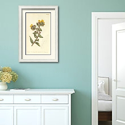 «Lithospermum Orientale. Yellow Gromwell, or Bugloss» в интерьере коридора в стиле прованс в пастельных тонах «Lithospermum Orientale. Yellow Gromwell, or Bugloss» в интерьере коридора в стиле прованс в пастельных тонах