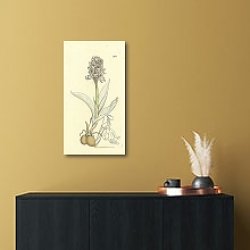 «Sowerby Ботаника №22» в интерьере в черно-золотом цвете