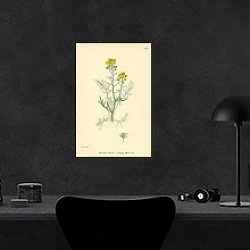 «Nasturtium Sylvestre. Creeping Yellow-cress.» в интерьере кабинета в черном цвете