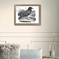 «The Carrion Crow, illustration from 'The History of British Birds' 1797» в интерьере в классическом стиле в светлых тонах «The Carrion Crow, illustration from 'The History of British Birds' 1797» в интерьере в классическом стиле в светлых тонах