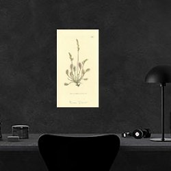 «Sowerby Ботаника №14» в интерьере кабинета в черном цвете