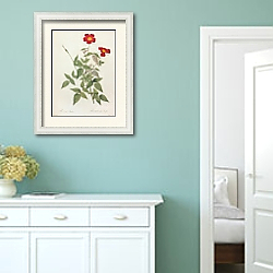 «Rosa Chinensis Jacq. Var. Semperflorens Koehne» в интерьере коридора в стиле прованс в пастельных тонах «Rosa Chinensis Jacq. Var. Semperflorens Koehne» в интерьере коридора в стиле прованс в пастельных тонах