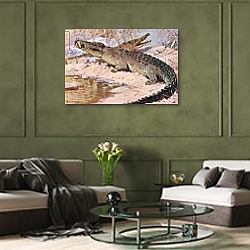 «Nile Crocodile, illustration from'Wildlife of the World', c.1910» в интерьере в классическом стиле в светлых тонах «Nile Crocodile, illustration from'Wildlife of the World', c.1910» в интерьере в классическом стиле в светлых тонах