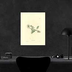 «Phaca Australis» в интерьере кабинета в черном цвете