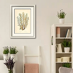 «Ficris Broom Rape, Lesser b.r., Ivy b.r., Purple b.r., Branched b.r., Greater Toothwort» в интерьере гостиной в стиле прованс «Ficris Broom Rape, Lesser b.r., Ivy b.r., Purple b.r., Branched b.r., Greater Toothwort» в интерьере гостиной в стиле прованс