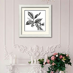 «American Winterberry or Ilex verticillata vintage engraving» в интерьере в стиле прованс над камином с лепниной «American Winterberry or Ilex verticillata vintage engraving» в интерьере в стиле прованс над камином с лепниной