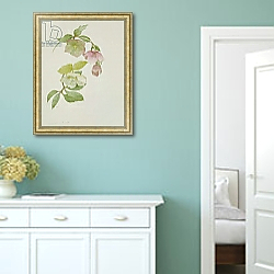 «Helleborus orientalio and Helleborus niger» в интерьере коридора в стиле прованс в пастельных тонах «Helleborus orientalio and Helleborus niger» в интерьере коридора в стиле прованс в пастельных тонах