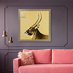 «waterbuck, 2014, oil on canvas» в интерьере в классическом стиле в светлых тонах «waterbuck, 2014, oil on canvas» в интерьере в классическом стиле в светлых тонах