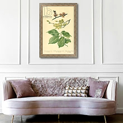 «Flowers, Fruit, and Leaves of the Elm» в интерьере гостиной в классическом стиле над диваном «Flowers, Fruit, and Leaves of the Elm» в интерьере гостиной в классическом стиле над диваном