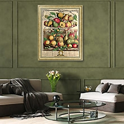 «March, from 'Twelve Months of Fruits', by Robert Furber engraved by Henry Fletcher, 1732» в интерьере гостиной в оливковых тонах «March, from 'Twelve Months of Fruits', by Robert Furber engraved by Henry Fletcher, 1732» в интерьере гостиной в оливковых тонах