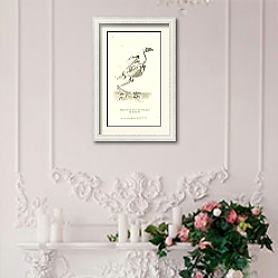 «Skeleton of Falco Palumbarius or Goshawk 1» в интерьере коридора в стиле прованс в пастельных тонах «Skeleton of Falco Palumbarius or Goshawk 1» в интерьере коридора в стиле прованс в пастельных тонах