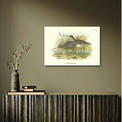 «Spotted Redshank» в интерьере с деревянными деталями