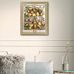 «January, from 'Twelve Months of Fruits', by Robert Furber engraved by Gerard Vandergucht 1732» в интерьере в классическом стиле в светлых тонах «January, from 'Twelve Months of Fruits', by Robert Furber engraved by Gerard Vandergucht 1732» в интерьере в классическом стиле в светлых тонах