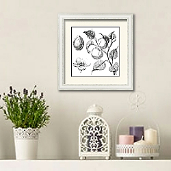 «Apricot flower, tree and kernel old engraved illustration» в интерьере в стиле прованс с лавандой и свечами «Apricot flower, tree and kernel old engraved illustration» в интерьере в стиле прованс с лавандой и свечами