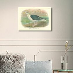«Great Black-Backed Gull» в интерьере комнаты с белыми стенами