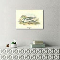 «Glaucous Gull» в интерьере комнаты с белым резным комодом