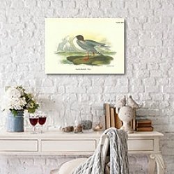 «Black-Headed Gull 1» в интерьере комнаты с белым столом