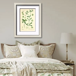 «Valerianaceae, Valerianellaolitoria Mnch» в интерьере спальни в стиле прованс над кроватью