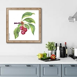 «Веточка черной вишни с ягодами и листьями» в интерьере кухни в голубых тонах