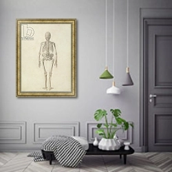 «A Comparative Anatomical Exposition of the Structure of the Human Body, 1795-1806» в интерьере коридора в классическом стиле