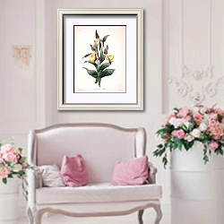 «Орхидея башмачок» в интерьере гостиной в стиле прованс над диваном