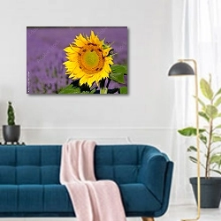 «Пчелы опыляют подсолнухи в поле лаванды» в интерьере современной гостиной над синим диваном