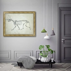 «Lateral View of a Tiger Skeleton, 1795-1806» в интерьере коридора в классическом стиле