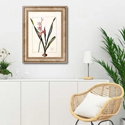 «Gladiolus merianus» в интерьере гостиной в скандинавском стиле над комодом