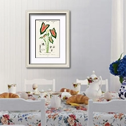 «Слоновое ухо (Caladium bicolor) » в интерьере столовой в стиле прованс над столом