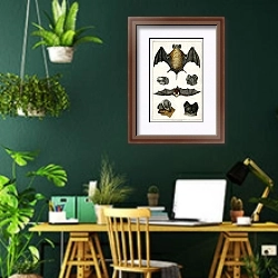 «Коллекция различных летучих мышей» в интерьере кабинета с зелеными стенами