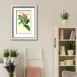 «Centropogon Surinamensis» в интерьере комнаты в стиле прованс с цветами лаванды