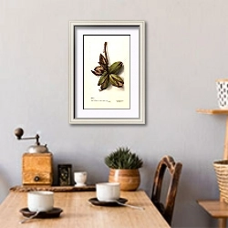 «Автор: Ван Деман» в интерьере кухни над обеденным столом с кофемолкой