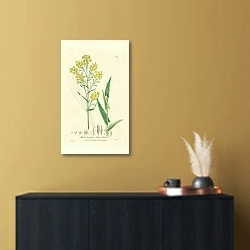 «Isatis Tinctoria. Dyers Wood» в интерьере в черно-золотом цвете