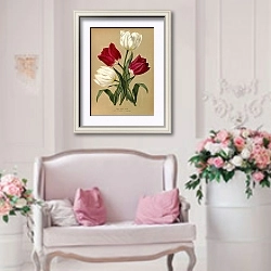 «Одиночные ранние тюльпаны 1.Белый горшечный Баккер 2.Просперпин» в интерьере гостиной в стиле прованс над диваном