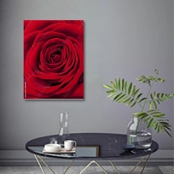 «Красная роза макро №2» в интерьере современной гостиной в серых тонах
