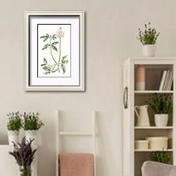 «Bladdery Trefoil» в интерьере комнаты в стиле прованс с цветами лаванды