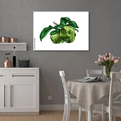 «Яблочная ветвь с зелеными фруктами и листьями» в интерьере современной кухни