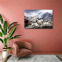 «Горные козы в Гималаях, Непал» в интерьере современной гостиной в розовых тонах