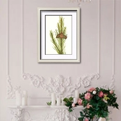 «Сосна обыкновенная. Pinus contorta murrayana» в интерьере в стиле прованс над камином с лепниной