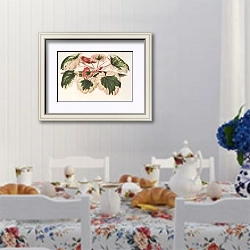 «Saxifraga Fortunei Hort. angl. var. tricolor» в интерьере столовой в стиле прованс над столом